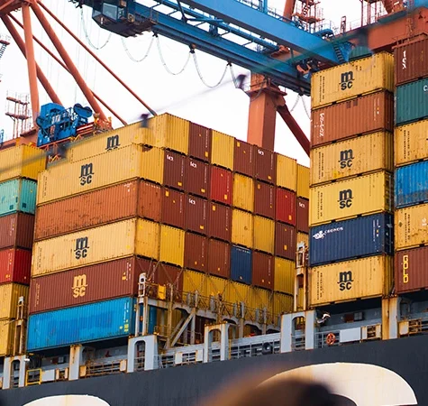 Main Liner & NVOCC (Non-Vessel Operating Common Carrier)